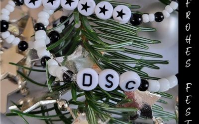 Frohe Weihnachten & einen guten Rutsch!